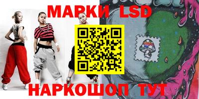 СК Новодвинск
