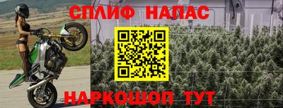 ECSTASY Новокубанск