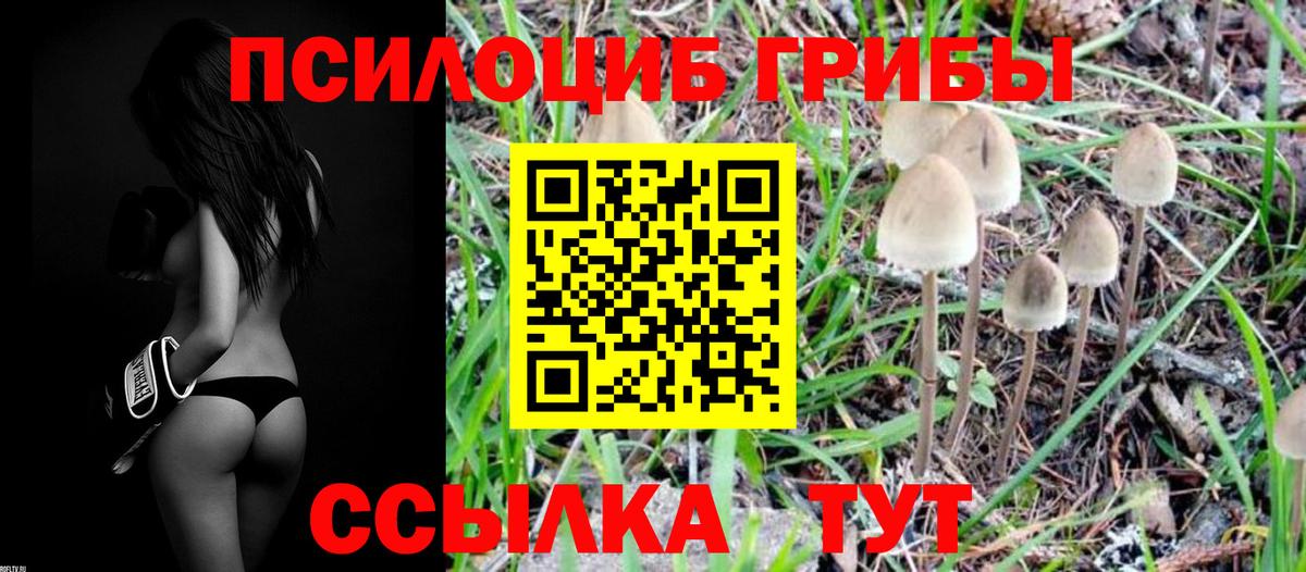 Псилоцибиновые грибы Psilocybine cubensis  Вход с VPN  Первоуральск 