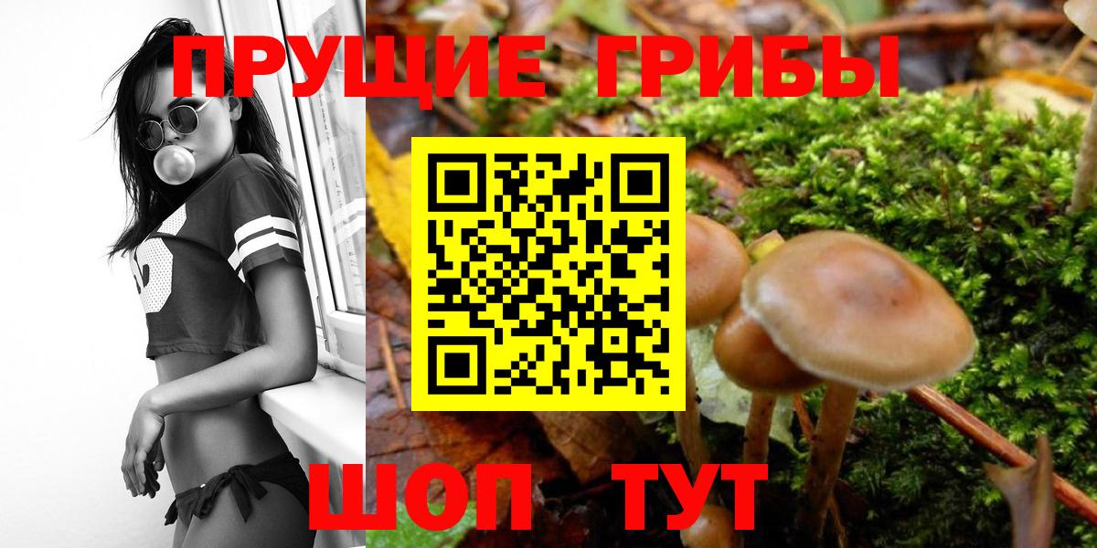 Галлюциногенные грибы мицелий Первоуральск